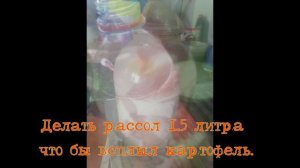 Лучший способ засолки сала.