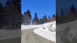 Лагонаки. Дорога на Партизанскую поляну.