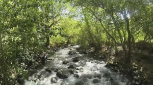 Казахстан. Джунгарский Алатау.