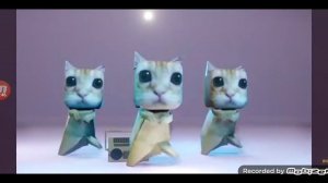 как танцевать танец куми куми хаба хаба