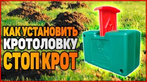 Кротоловка СТОП КРОТ (Как пользоваться ловушкой для крота)