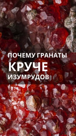 От чего зависит цвет гранатов? Какой гранат дороже изумруда и при чем тут
лошадиные хвосты?🧐🐎🐴