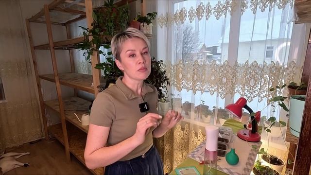 Первые всходы семян.