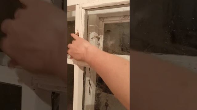 Творим🖼️🦌🎨🖌️!Вытворяем😽😺🎨🖌️!Размышляем!
