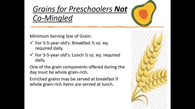 Information Buffet: PreK Meals Regulations and Processes - 1/18/2023 смотреть онлайн