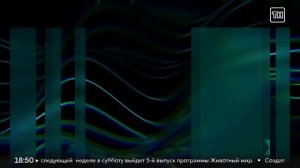 Запись эфира с 18:24 до 19:16 (ТН HD, 16.12.2024)