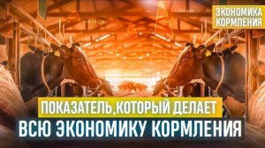 Показатель, который делает всю экономику кормления