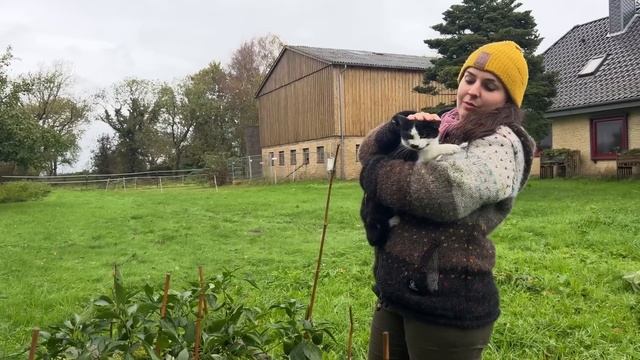 Hoch verschuldet für den Traum vom Selbstversorgerhof смотреть онлайн