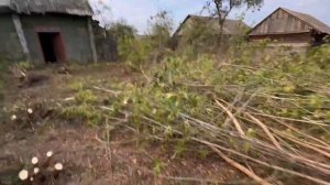 Купили Дом за 13$😱 Как купить дом за 1 базовую в Беларуси? Наша история.