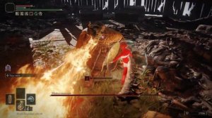 ТОЧИЛЬНЫЙ КАМЕНЬ ЯДА И КРОВОТОКА! ELDEN RING ТОЛЬКО ЩИТ #21