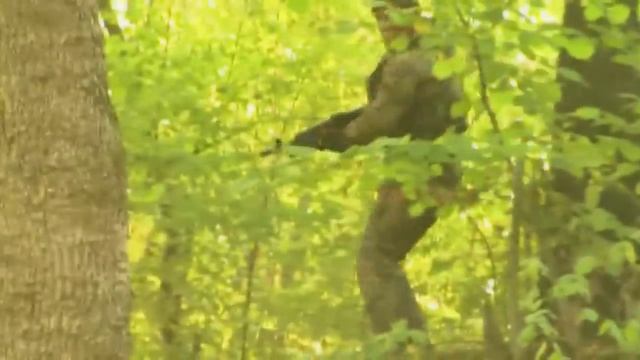 Легендарный военный фильм про Спецназ 1 сезон 1 серия
