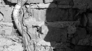 Константин Сапрыкин feat. Ольга Спасёнова - Солдатская Передовая