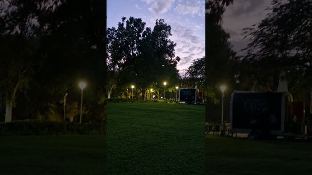 Вечер в парке Вайцмана. 🌄#shorts #video #love #sunset #life #smile