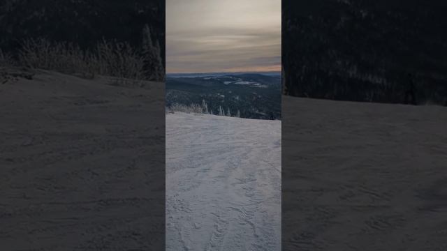 ШЕРЕГЕШ ЯНВАРЬ 24 смотреть онлайн