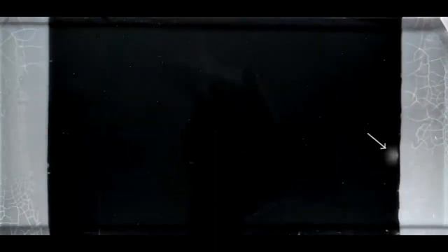 Эволюционный процесс Наглядный пример как формируется резистентность к актибиотикам