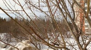 Заброшенный город на западном Урале