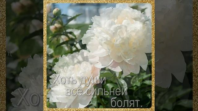 Мы не становимся Моложе...🌺 🌺 🌺 Красиво и Мудро! Жизненный стих – Илья Евтеев