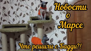 Новости о Марсе, печальные/Что будет с Бадди?!/Все мешают Марсу