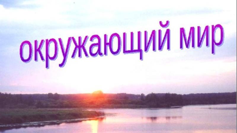 Я познаю мир