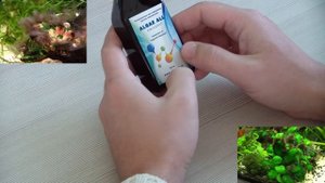 Черная борода в аквариуме. Почему_ Откуда_ Альгол(альгаэолл) как помощник.
