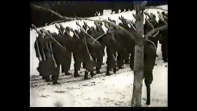 Какое место должен занимать триколор на Параде Победы?