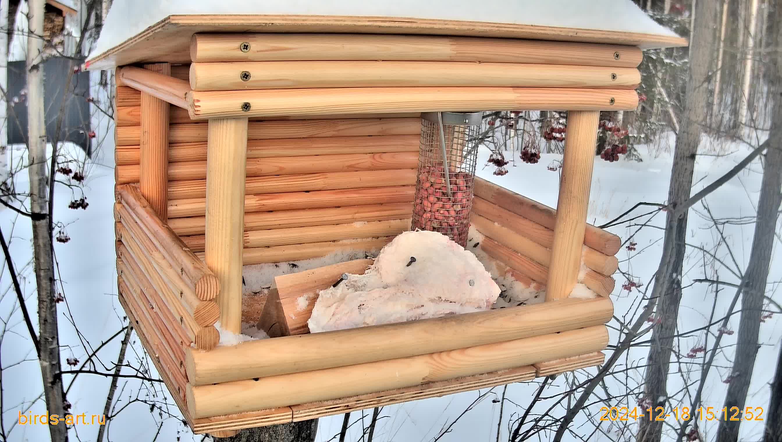 Онлайн кормушка для птиц Live Bird Feeder
