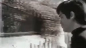 О Брюсе Ли : Человек-Легенда