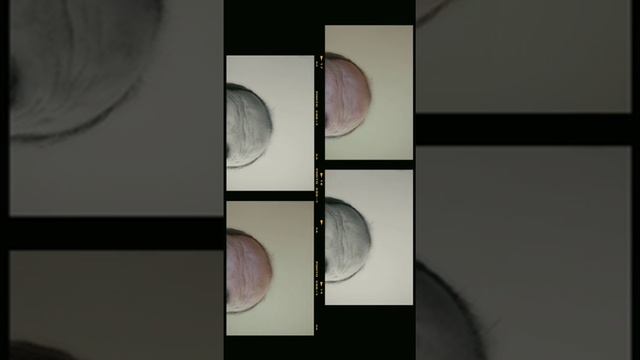 Poema literatura rima verso Miguel de Asén(4) смотреть онлайн