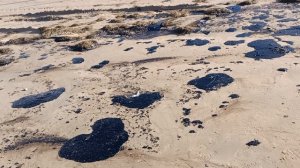 Анапа. Пляж возле Анапкив мазуте. 18 декабря 2024. 11.00