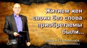 Вадим Плахотнюк Житием жен без слова приобретаемы были