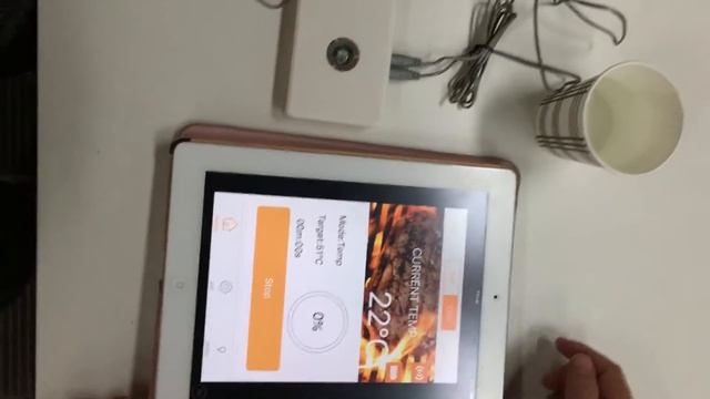 Flamingo Bluetooth BBQ thermometer with 2 channels смотреть онлайн