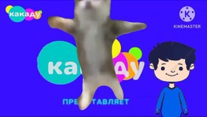 Кот Хапи Хапи Хапи мешает смотреть Какаду!