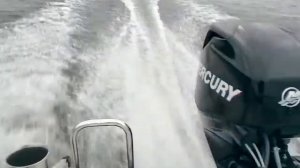 Silver Beaver 2011 & Mercury 40HP ELPT EFI