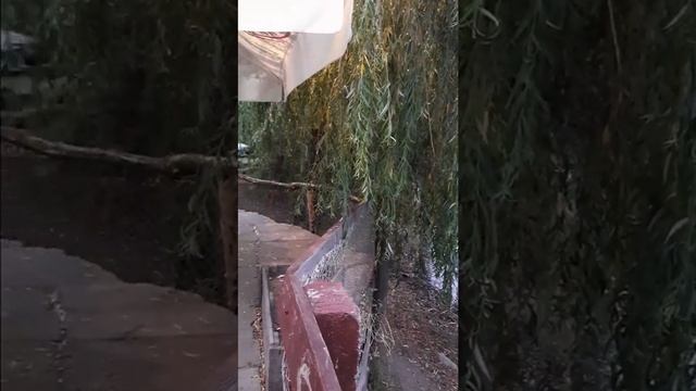 Отдых. Речка.