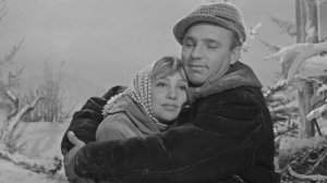 "Старый клен" песня из фильма "Девчата" 1961 года.