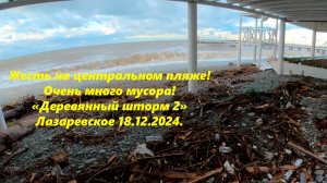 Лазаревское сегодня! 18.12.2024.