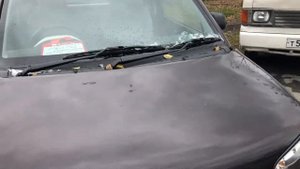 Обзор рынка в Хабаровске на Монтажной.