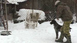 УСТРОЙСТВО ВЫБРОСА ПТИЦЫ (для натаски собаки)