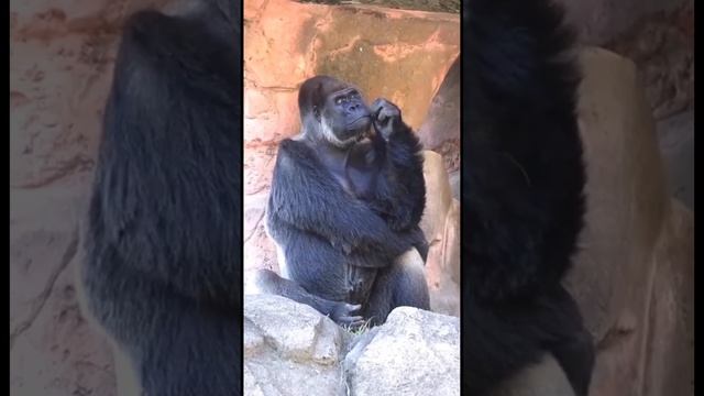 Философское настроение