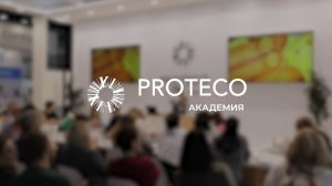 Мы Академия Протеко