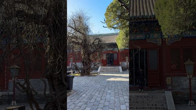 Китай, Пекин, Храм Конфуция смотреть онлайн
