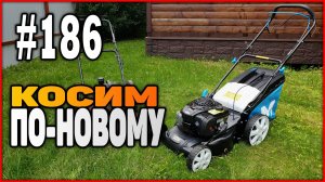 #186 Косим газон | Газонокосилка MacAllister MLMP500 бензиновая самоходная | Обзор и распаковка