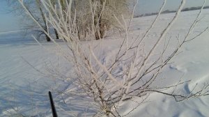 Охота на зайца в Башкирии