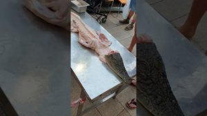Крокодил жареный в Таиланде