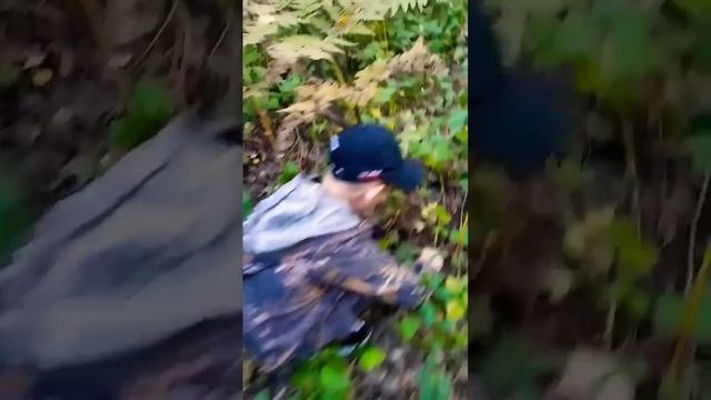 #По грибы смотреть онлайн