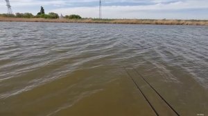 Уловистая кормушка флэт фидер на сазан и карпа, рыбалка весной 2024