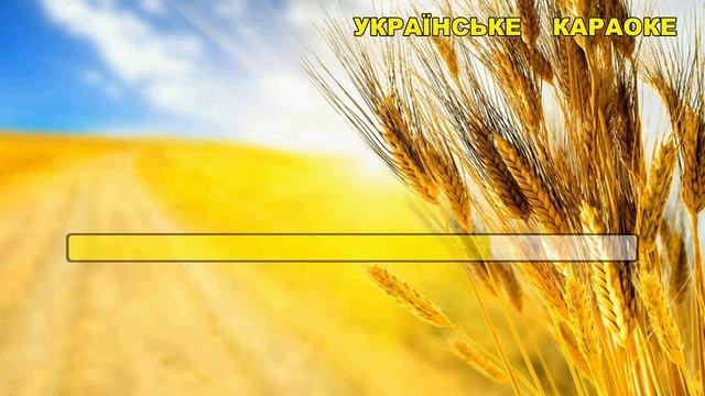 Ти у мене одна-Україна!🇺🇦Караоке|Сл і муз @RomanRomanchenko #ukraine #караоке #українською смотреть онлайн