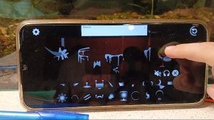 спрунки2часть