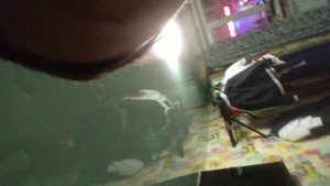 моя история в школе