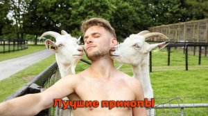 Лучшие приколы | Смех до слез | Подборка приколов !